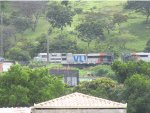VLI 8438